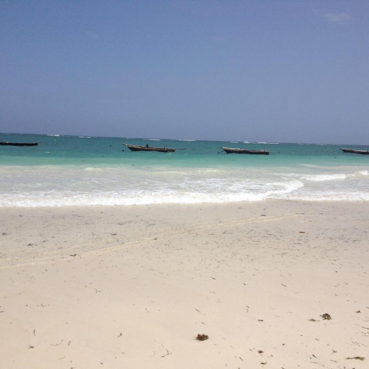 Mango Lodge Msambweni Kisimachande Ngoại thất bức ảnh
