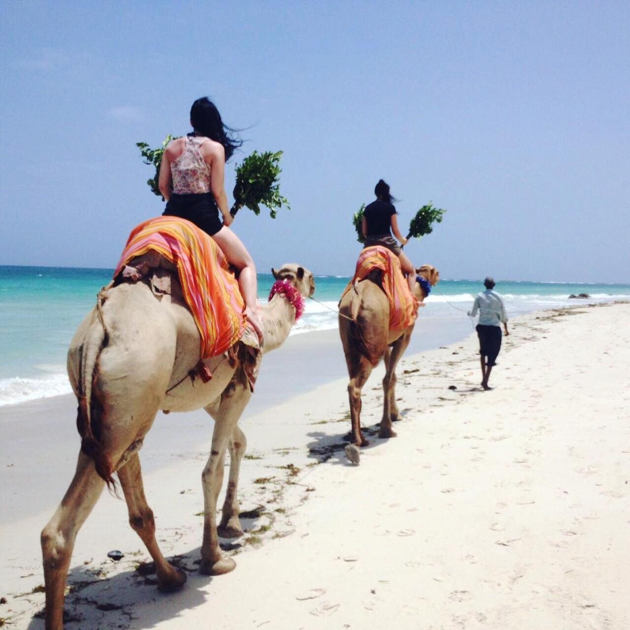 Mango Lodge Msambweni Kisimachande Ngoại thất bức ảnh