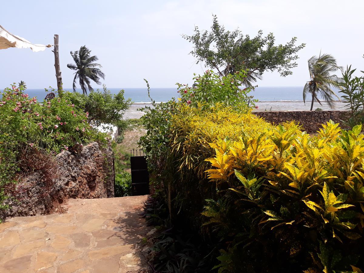 Mango Lodge Msambweni Kisimachande Phòng bức ảnh