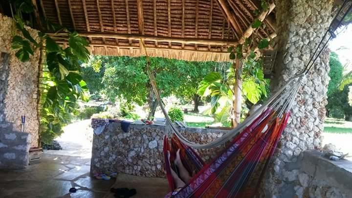 Mango Lodge Msambweni Kisimachande Ngoại thất bức ảnh