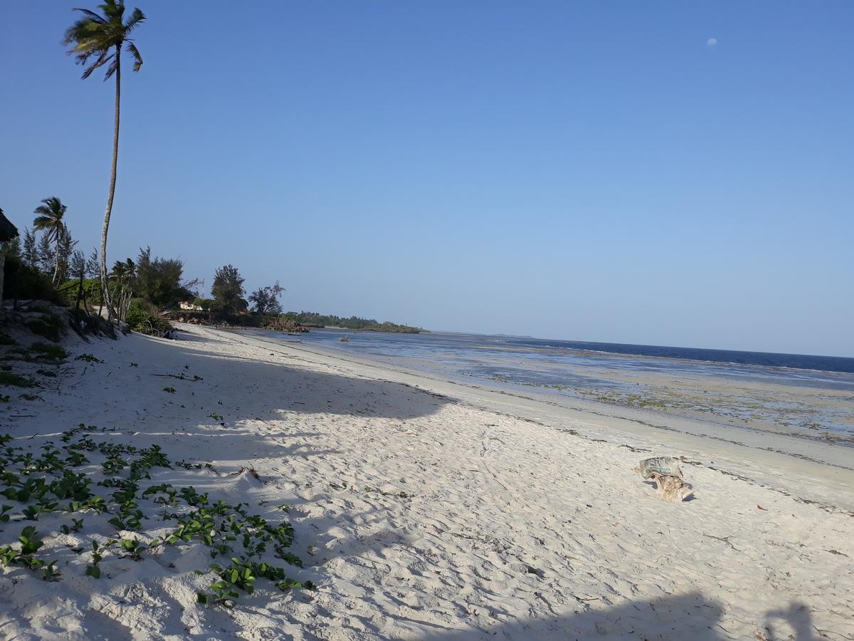 Mango Lodge Msambweni Kisimachande Ngoại thất bức ảnh