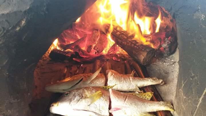 Mango Lodge Msambweni Kisimachande Ngoại thất bức ảnh