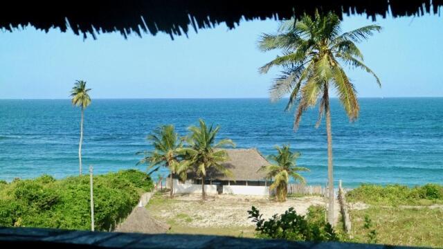 Mango Lodge Msambweni Kisimachande Ngoại thất bức ảnh
